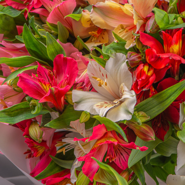 Букет "15 Альстромерій"