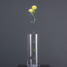 Диантус Кустовой
